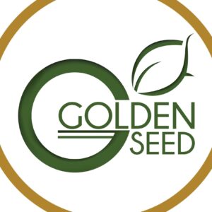 327150927 506091678342541 6086791528348834708 n